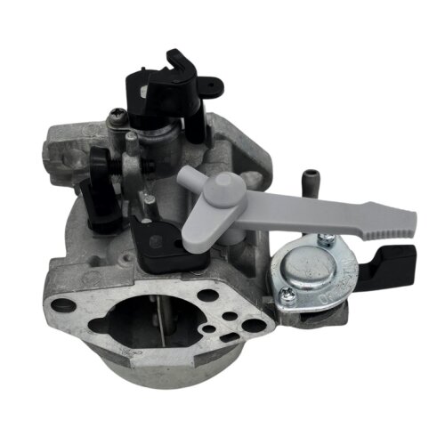 Vergaser für G300F Motor T09J